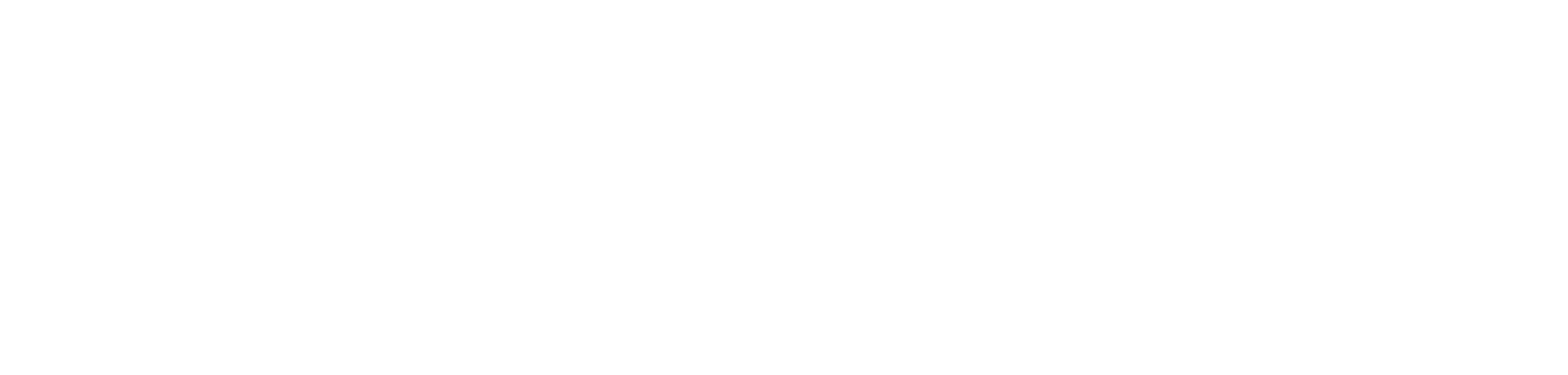 logo-mitikawebagency-bianco